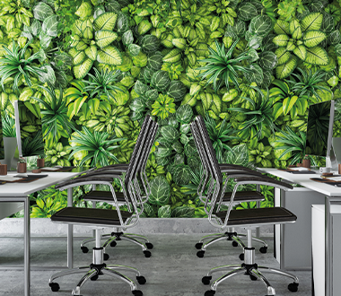 Untraditional Tips for an Eco Office – What Bright Colours, Informal Clothing and Smaller Font Have To Do With Being Sustainable?